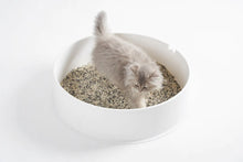 Load image into Gallery viewer, 3-in-1 Mixed Cat Litter 5.2kg Pail