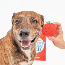 Load image into Gallery viewer, Cherry Tomato Nose Work & Tug Toy