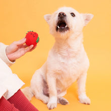 Load image into Gallery viewer, Cherry Tomato Nose Work & Tug Toy