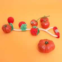 Load image into Gallery viewer, Cherry Tomato Nose Work & Tug Toy