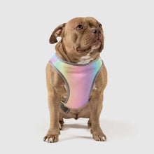 Load image into Gallery viewer, Chill Seeker Cooling Vest Rainbow