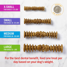 Load image into Gallery viewer, Dental Delights Chicken & Parsley Flavor 4-in1 Dental Treats for Dogs 5.5oz