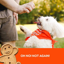 Load image into Gallery viewer, Grain Free Soft & Chewy Peanut Butter Dog Treat 5oz