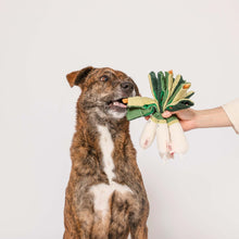 Load image into Gallery viewer, Green Onion Nosework Toy