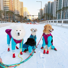 Load image into Gallery viewer, Lites Dog Boots 2-pack