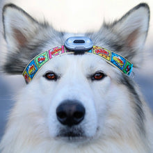 Load image into Gallery viewer, Matrix Ultra LED Safety Light