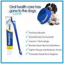 Load image into Gallery viewer, Oral Care Kit Chicken Flavour for Dog & Cat