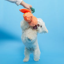 Load image into Gallery viewer, Orange Nosework Toy