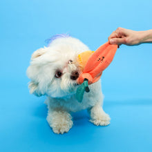 Load image into Gallery viewer, Orange Nosework Toy