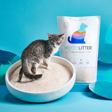 Load image into Gallery viewer, PrettyLitter Health Monitoring Cat Litter 8lb