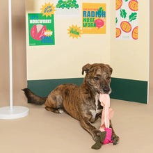 Load image into Gallery viewer, Radish Nose Work Toy