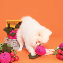 Load image into Gallery viewer, Radish Nose Work Toy
