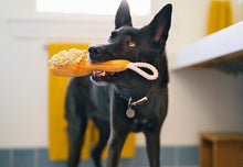 Load image into Gallery viewer, Splish Splash Bark N' Bristles