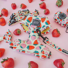 Load image into Gallery viewer, Strawberry Fields Furever Dog Adjstable Harness