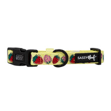 Load image into Gallery viewer, Strawberry Fields Furever Dog Collar