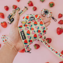 Load image into Gallery viewer, Strawberry Fields Furever Dog Leash