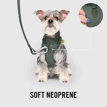 Load image into Gallery viewer, The Everything Harness with Poop Dispenser (Forest Green)