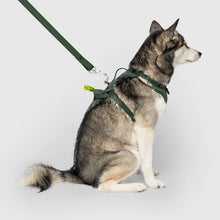 Load image into Gallery viewer, The Everything Harness with Poop Dispenser (Forest Green)