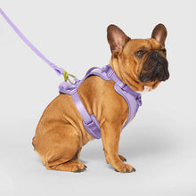 Load image into Gallery viewer, The Everything Harness with Poop Dispenser (Lavender)