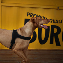 Load image into Gallery viewer, Town Harness (Black)