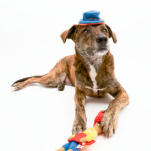 Load image into Gallery viewer, Surfer Hooman Nosework Toy