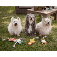 Load image into Gallery viewer, Hotdog Rope Toy - WAGSUP