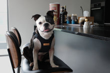 Load image into Gallery viewer, Comfort Harness (Black)