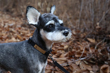 Load image into Gallery viewer, Easy Collar (Black)