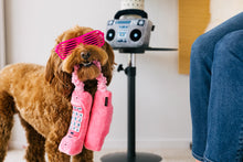 Load image into Gallery viewer, 80's Classic Corded Phone