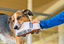 Load image into Gallery viewer, 80's Classic Station Wagon