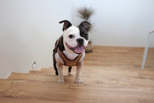 Load image into Gallery viewer, Comfort Harness (Brown)