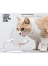 Load image into Gallery viewer, Adjustable Tilted Pet Bowl with Elevated Stand - WAGSUP