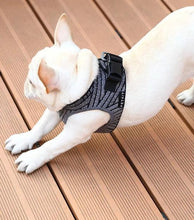 Load image into Gallery viewer, Air Fly Harness - WAGSUP