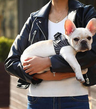 Load image into Gallery viewer, Air Fly Harness - WAGSUP