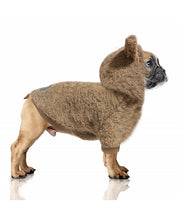 Load image into Gallery viewer, Ayden Bear Camel Hoodie