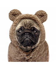 Load image into Gallery viewer, Ayden Bear Camel Hoodie