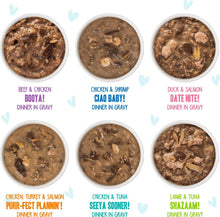 Load image into Gallery viewer, BFF OMG Potluck Variety Pack 12 x 2.8oz Pouch - WAGSUP