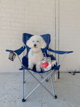 Load image into Gallery viewer, Bait Basket with 2 in 1 Squeaky Hide & Seek Toy