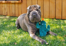 Load image into Gallery viewer, Blooming Buddies Prickly Pup Cactus - WAGSUP