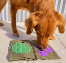 Load image into Gallery viewer, Book Snuffle Toy - WAGSUP
