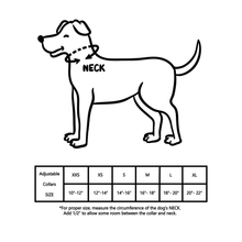 Load image into Gallery viewer, Braided Classic Collar - WAGSUP