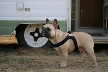 Load image into Gallery viewer, Buckle-Up Easy Harness (Black)
