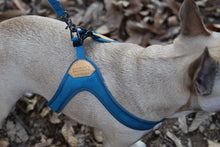 Load image into Gallery viewer, Buckle-Up Easy Harness (Blue)