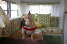 Load image into Gallery viewer, Buckle-Up Easy Harness (Red)