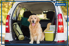 Load image into Gallery viewer, Calming Spray 20ml