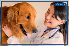 Load image into Gallery viewer, Calming Spray 20ml