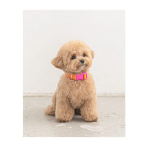 Load image into Gallery viewer, Candy Crayon Collar (Orange)