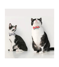 Load image into Gallery viewer, Cat Bow Tie Collar (Dreamy Camouflage)