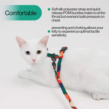 Load image into Gallery viewer, Cat Harness and Leash Set (Black and White Stripes)