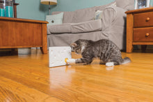 Load image into Gallery viewer, Cheese Automatic Cat Teaser 3pk